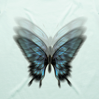 Flutterby Tee
